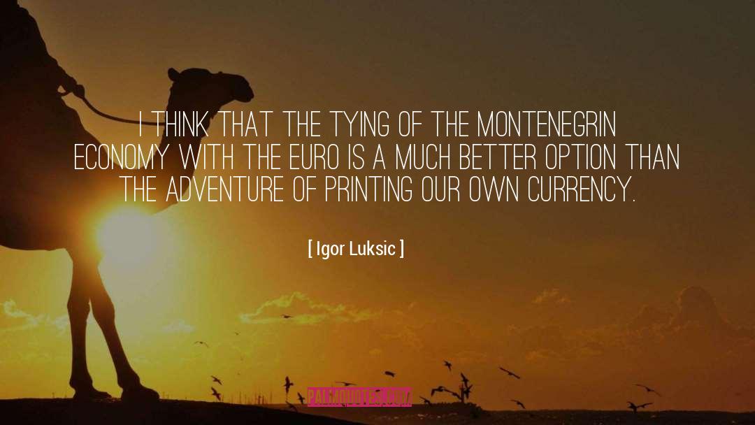 Euro quotes by Igor Luksic