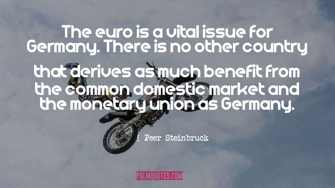 Euro quotes by Peer Steinbruck