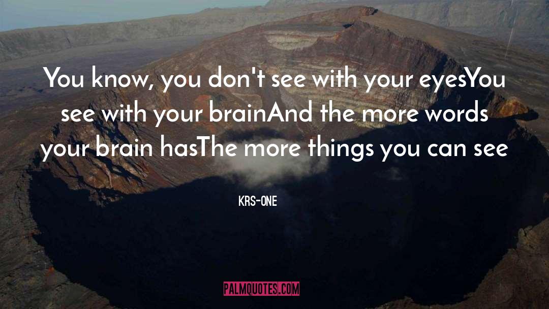 European Music quotes by KRS-One