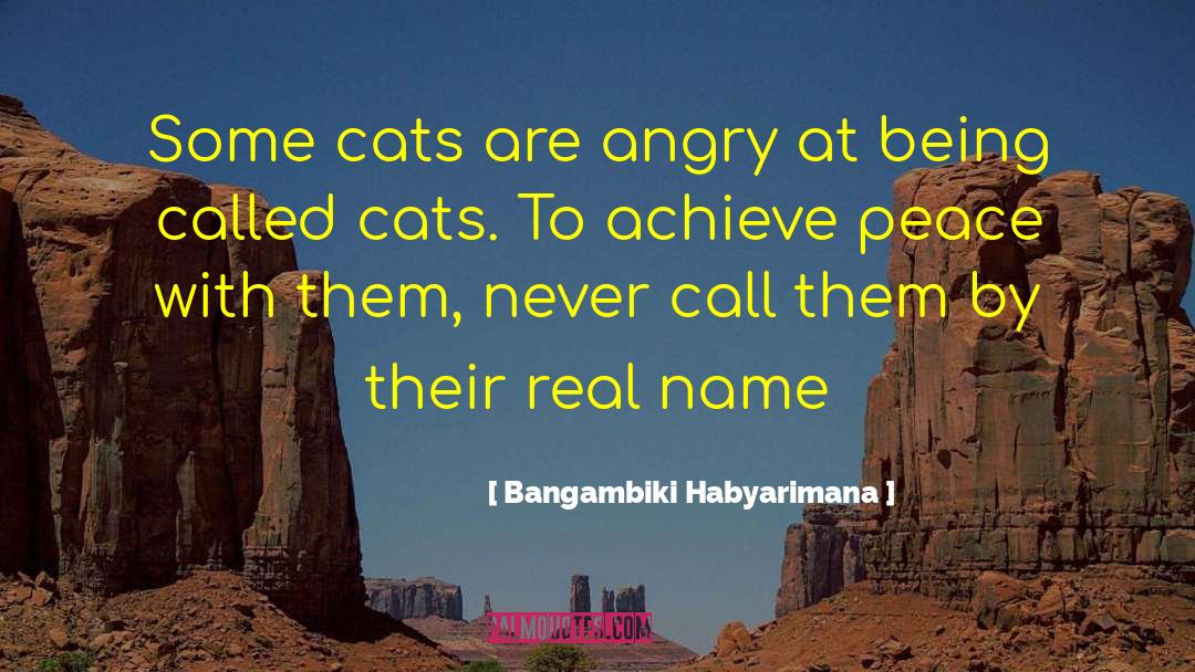 European Proverbs quotes by Bangambiki Habyarimana