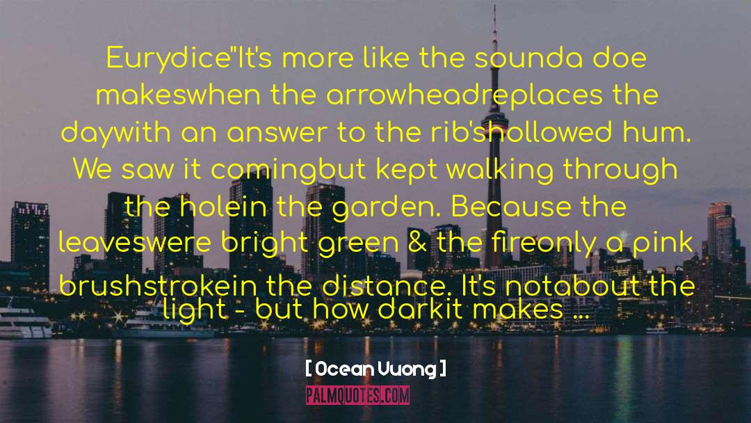 Eurydice quotes by Ocean Vuong