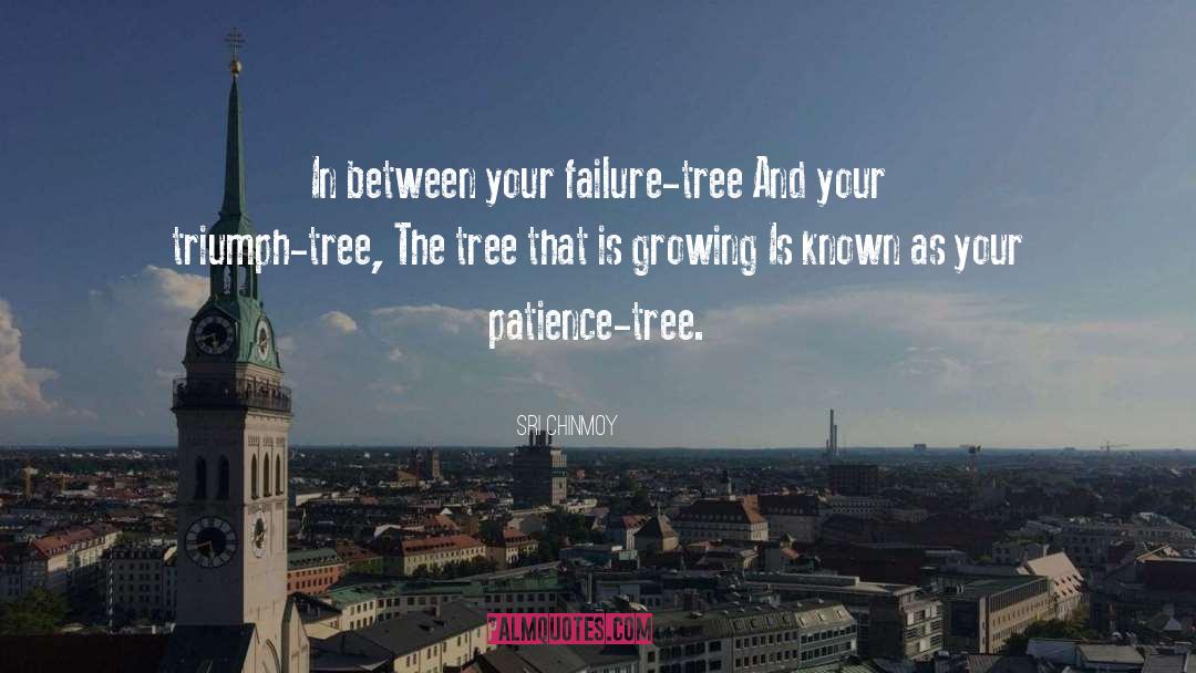 Euryops Daisy Tree quotes by Sri Chinmoy