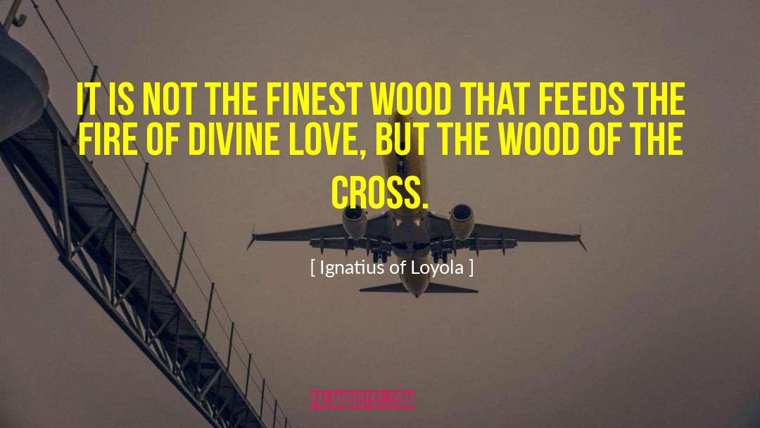 Evan Rachel Wood quotes by Ignatius Of Loyola