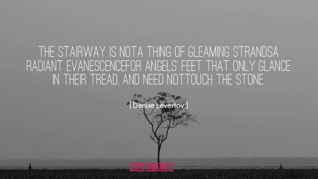 Evanescence quotes by Denise Levertov