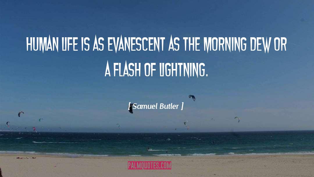 Evanescent quotes by Samuel Butler