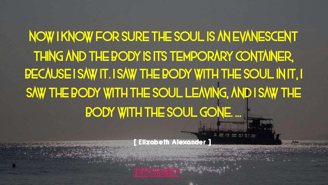 Evanescent quotes by Elizabeth Alexander