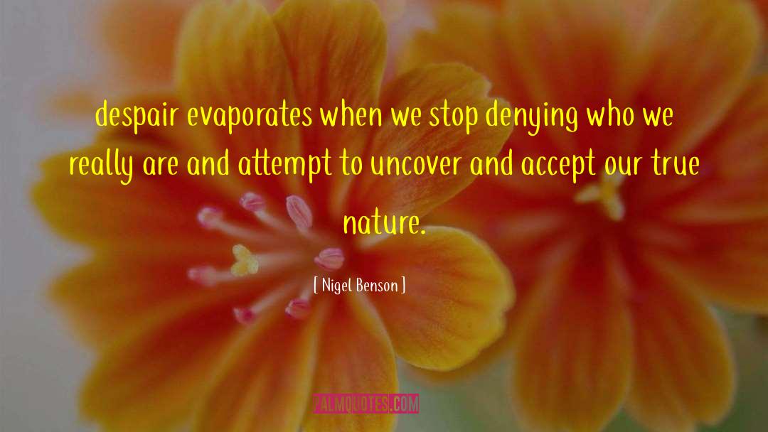 Evaporates quotes by Nigel Benson