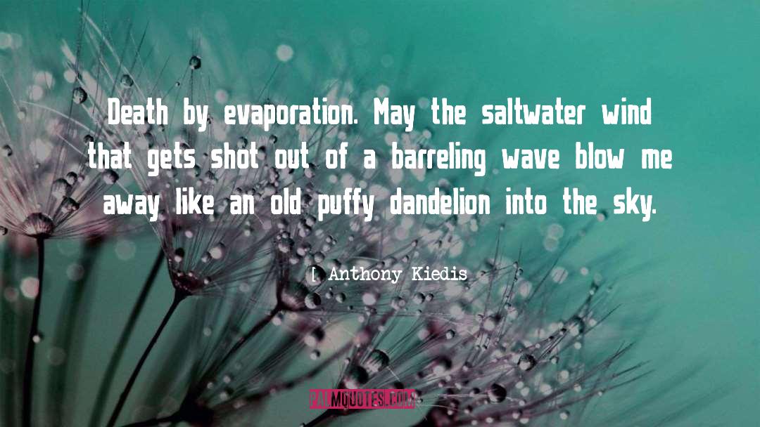 Evaporation quotes by Anthony Kiedis