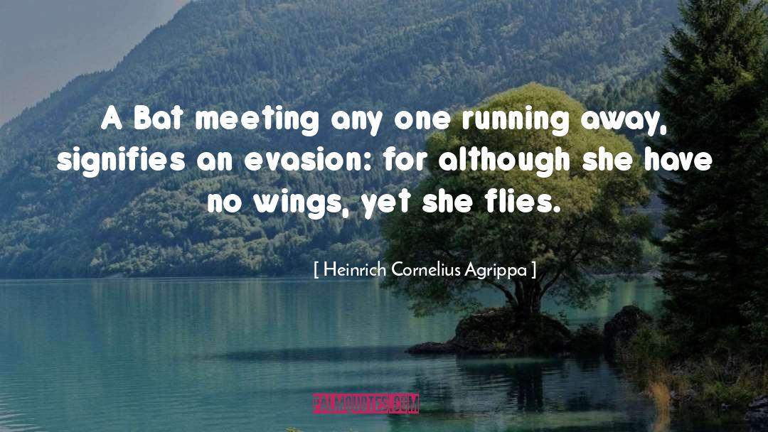 Evasion quotes by Heinrich Cornelius Agrippa