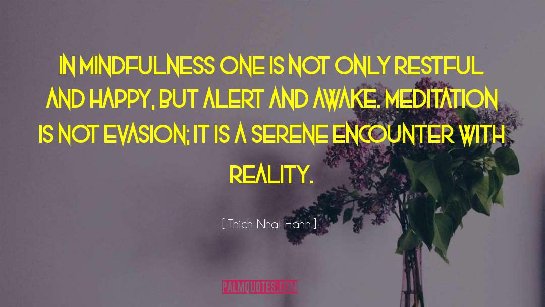 Evasion quotes by Thich Nhat Hanh