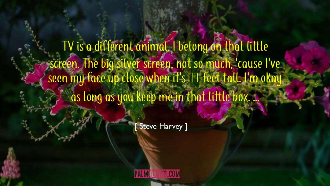 Eve Silver quotes by Steve Harvey