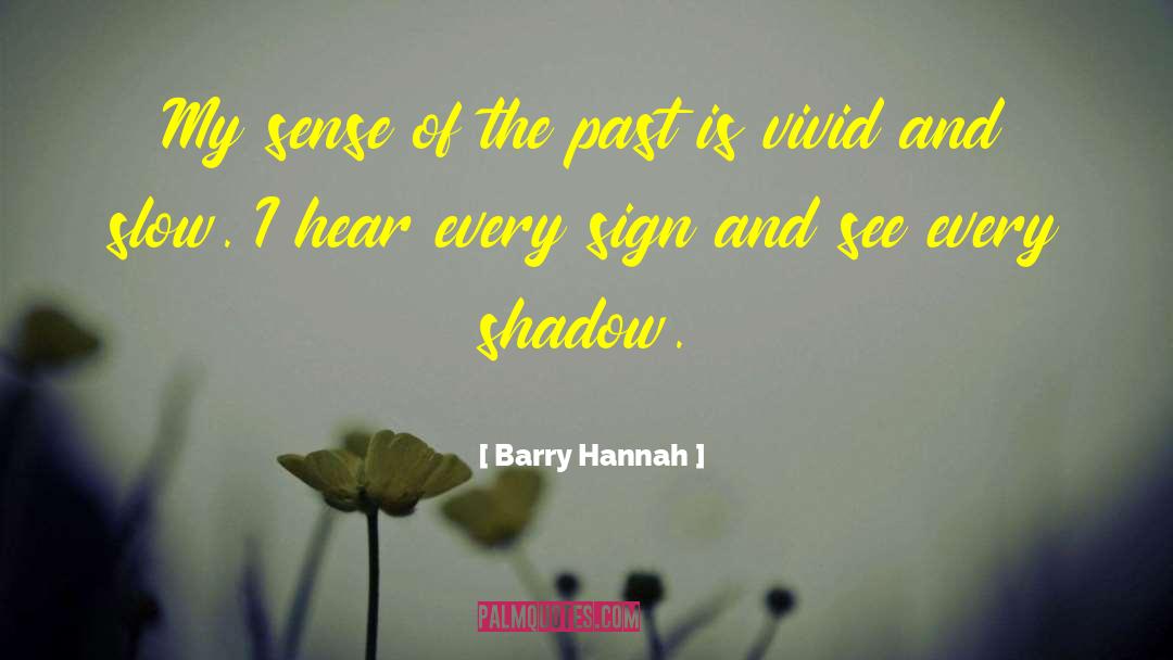 Evelina Barry quotes by Barry Hannah