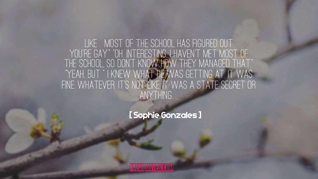 Eveling Gonzales quotes by Sophie Gonzales