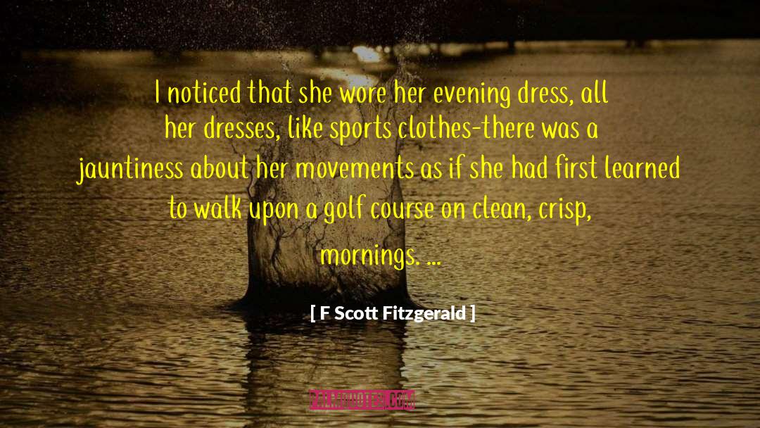 Evening Dress quotes by F Scott Fitzgerald