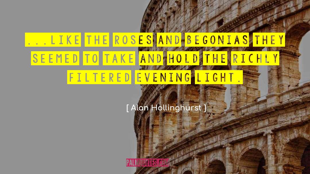 Evening Light quotes by Alan Hollinghurst