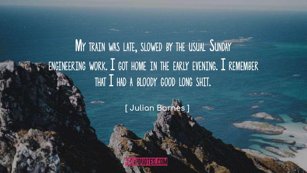 Evening quotes by Julian Barnes