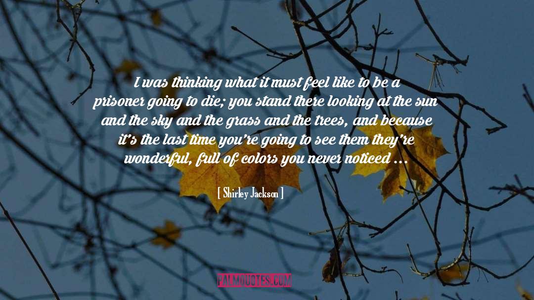 Evening Sky quotes by Shirley Jackson