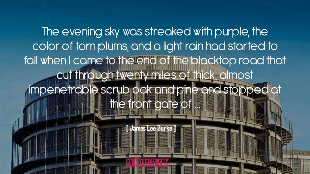 Evening Sky quotes by James Lee Burke