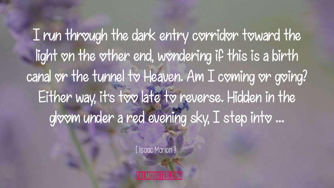 Evening Sky quotes by Isaac Marion