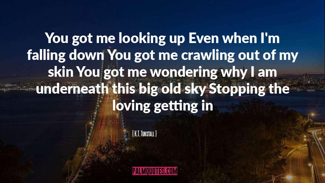 Evening Sky quotes by K.T. Tunstall