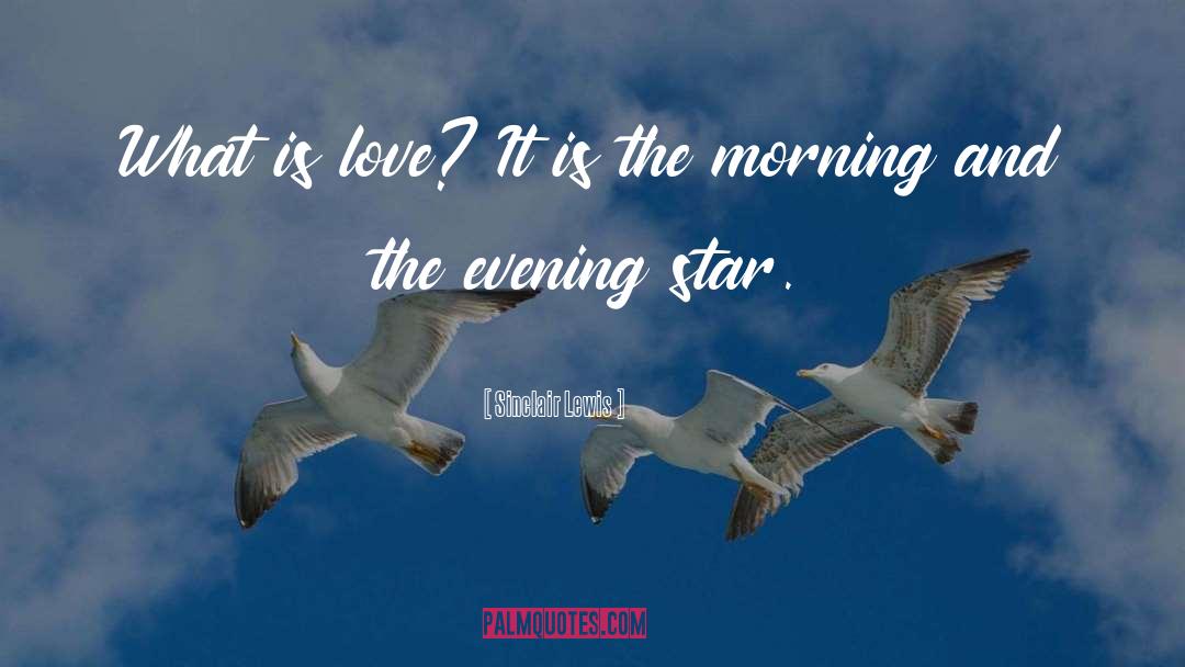 Evening Star quotes by Sinclair Lewis