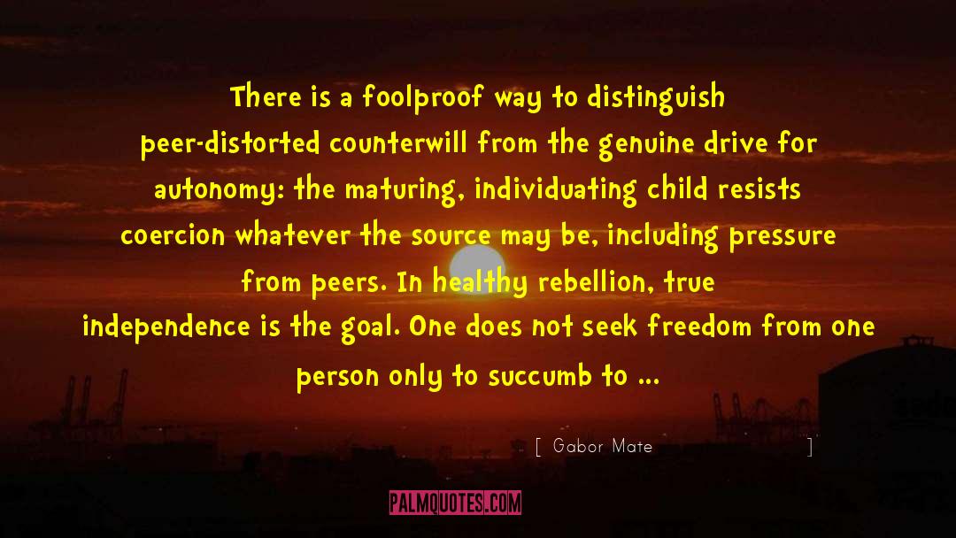 Events Overwatch quotes by Gabor Mate