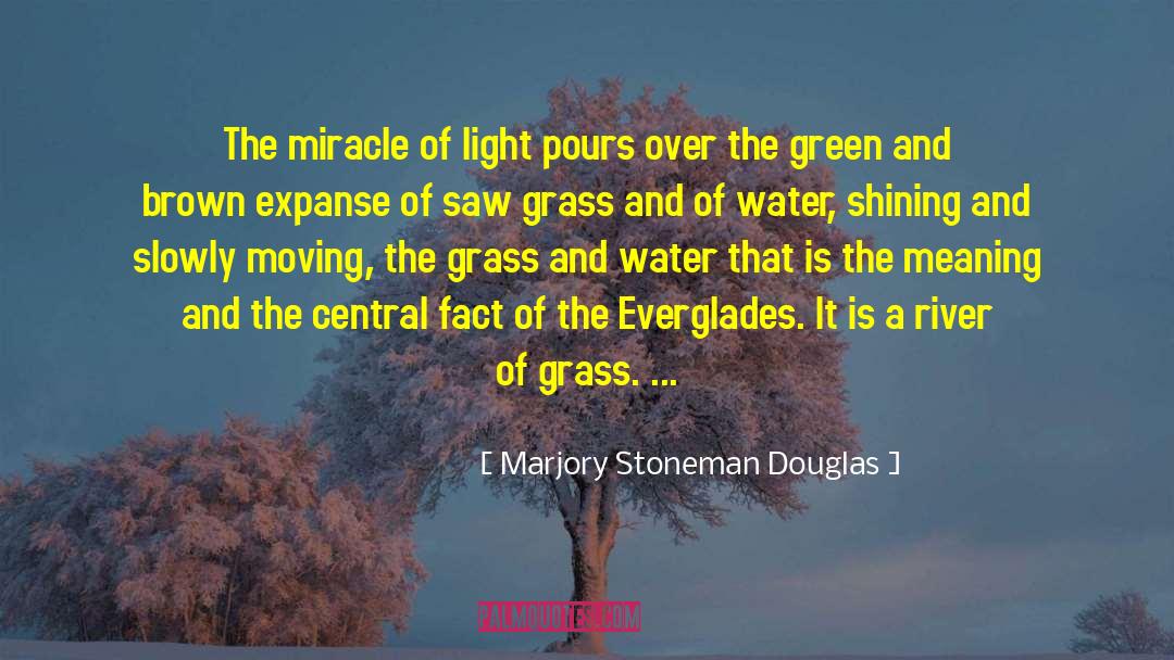 Everglades quotes by Marjory Stoneman Douglas