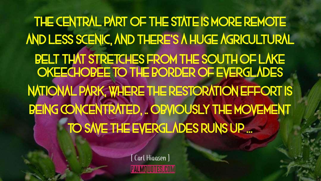Everglades quotes by Carl Hiaasen