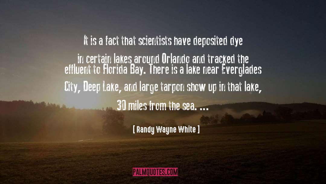 Everglades quotes by Randy Wayne White