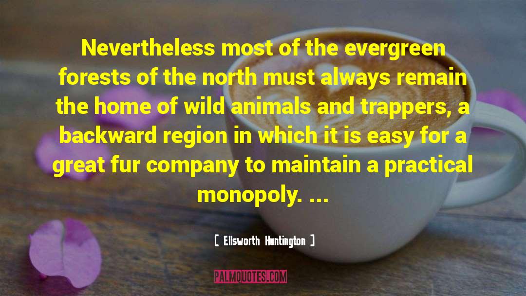 Evergreen quotes by Ellsworth Huntington