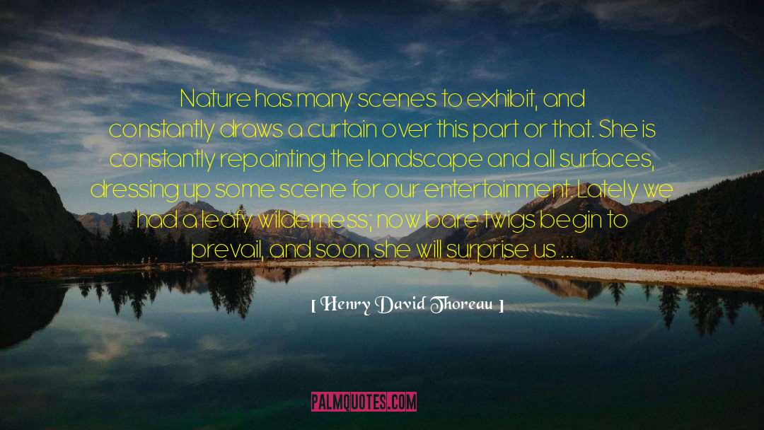 Evergreens quotes by Henry David Thoreau