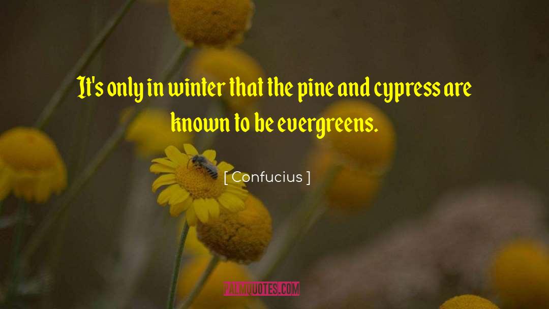 Evergreens quotes by Confucius