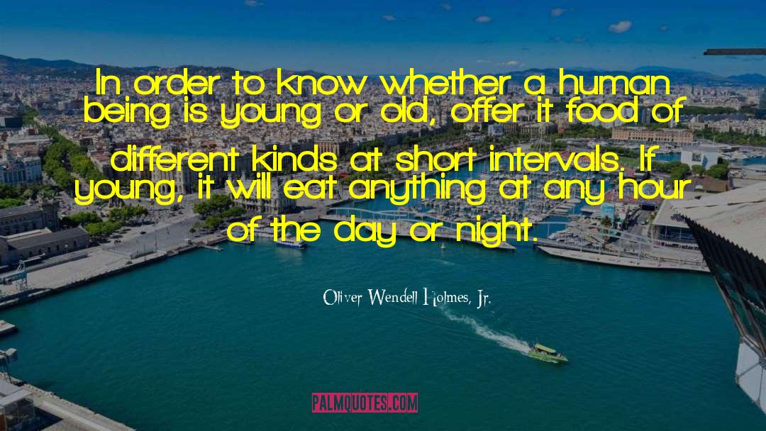 Everlasting Night quotes by Oliver Wendell Holmes, Jr.