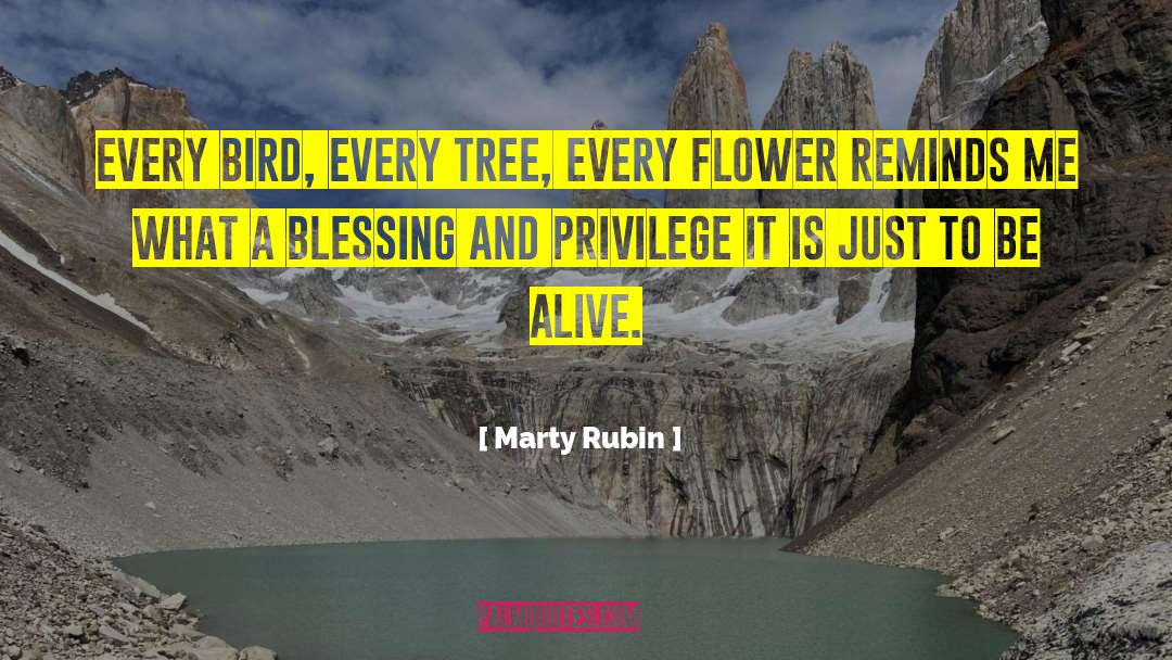 Every Flower quotes by Marty Rubin