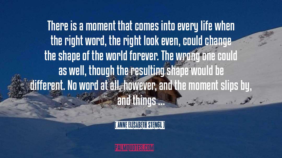 Every Life quotes by Anne Elisabeth Stengl