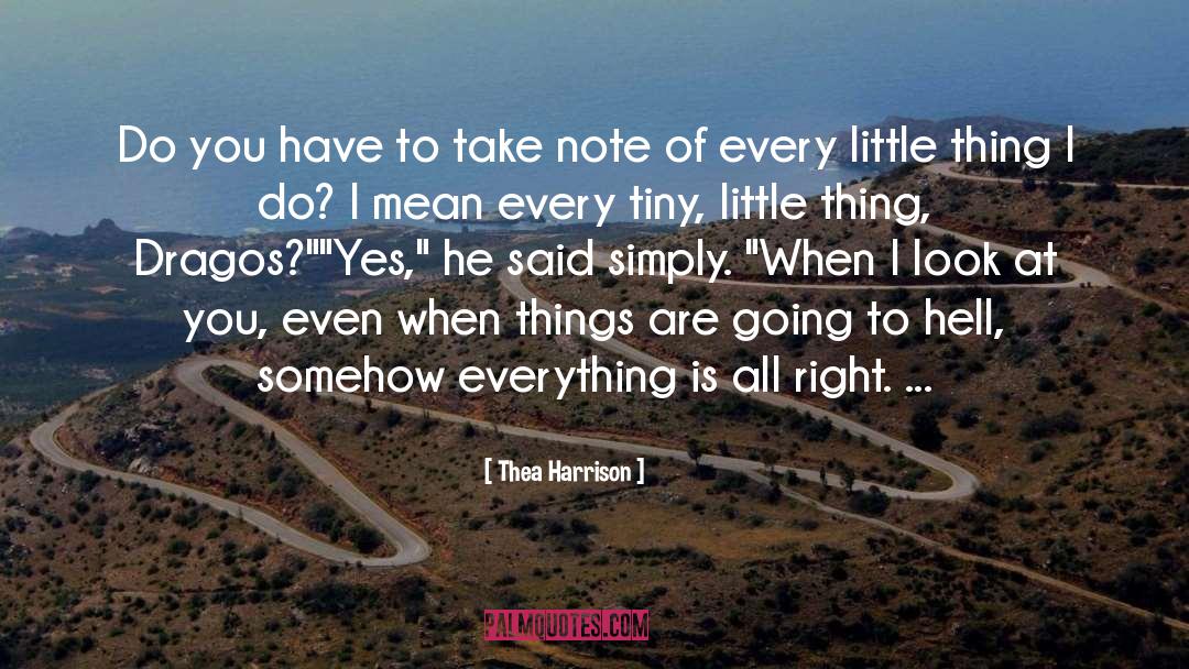 Every Little Thing quotes by Thea Harrison