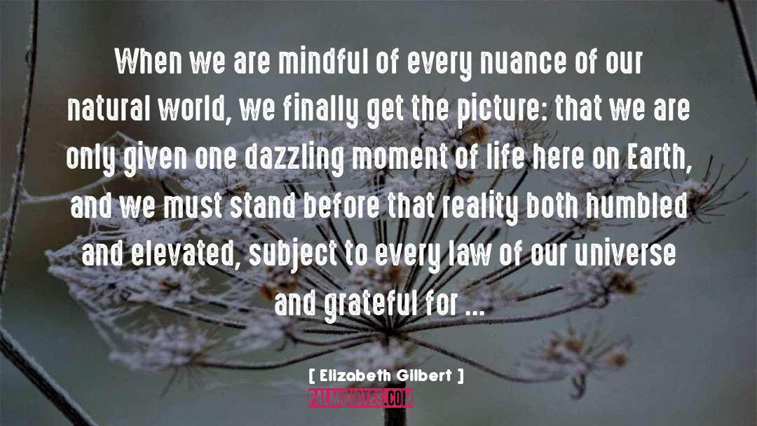 Every Moment Of Our Lives quotes by Elizabeth Gilbert