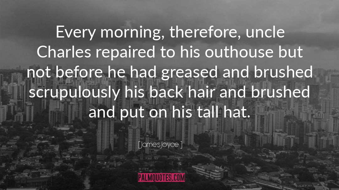 Every Morning quotes by James Joyce