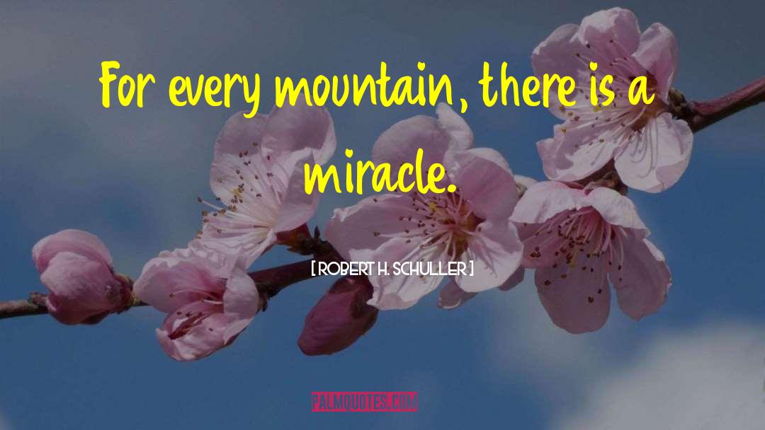 Every Mountain quotes by Robert H. Schuller