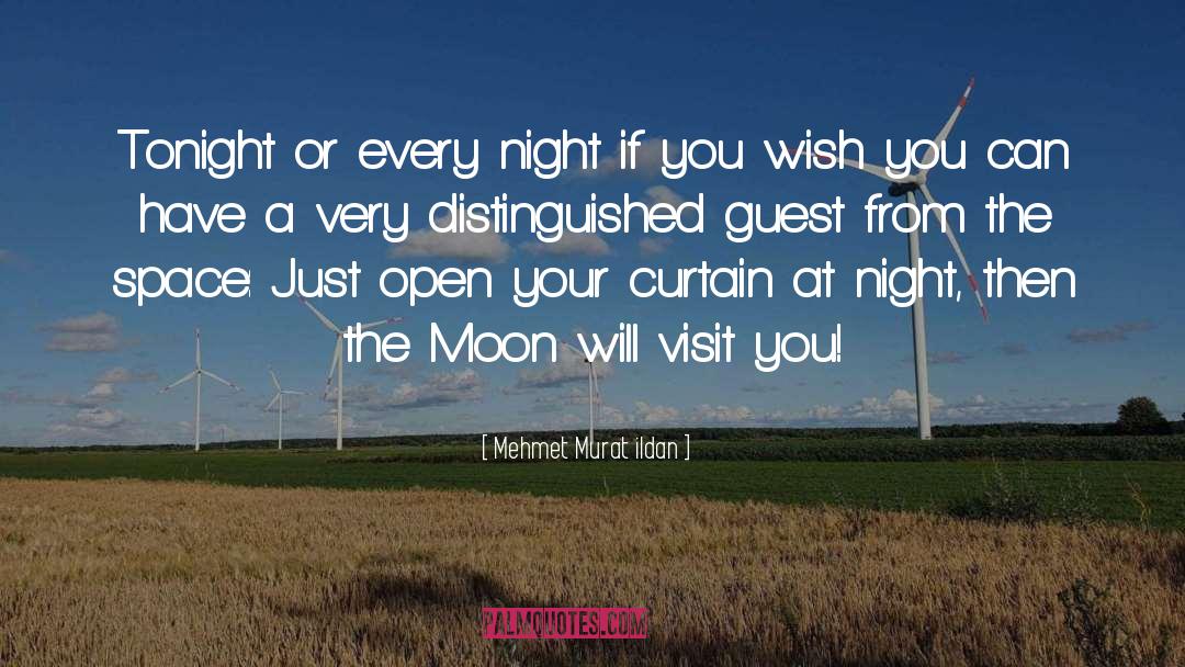 Every Night quotes by Mehmet Murat Ildan