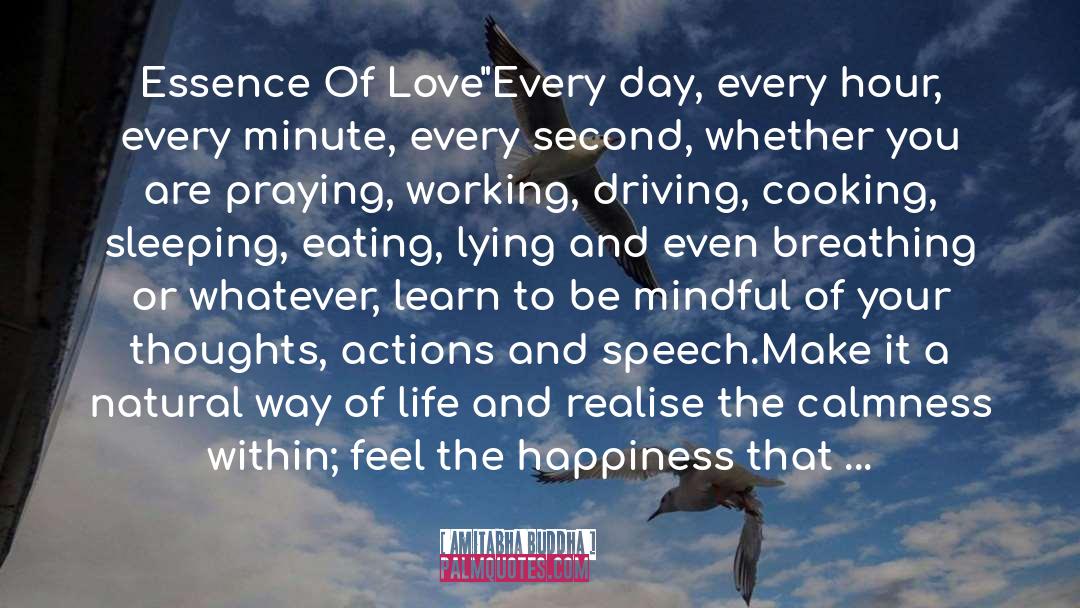 Every Second quotes by Amitabha Buddha