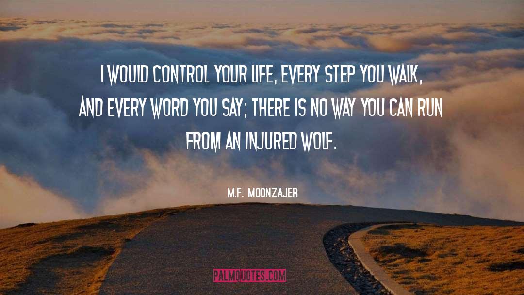 Every Step You Take quotes by M.F. Moonzajer