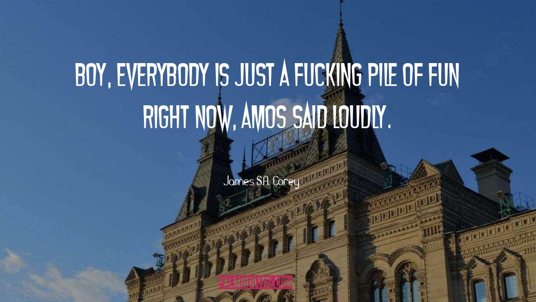 Everybody S Fool quotes by James S.A. Corey