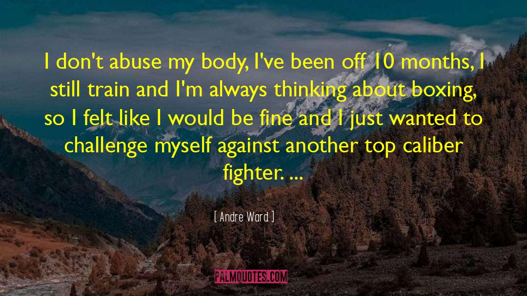 Everyday Challenge quotes by Andre Ward