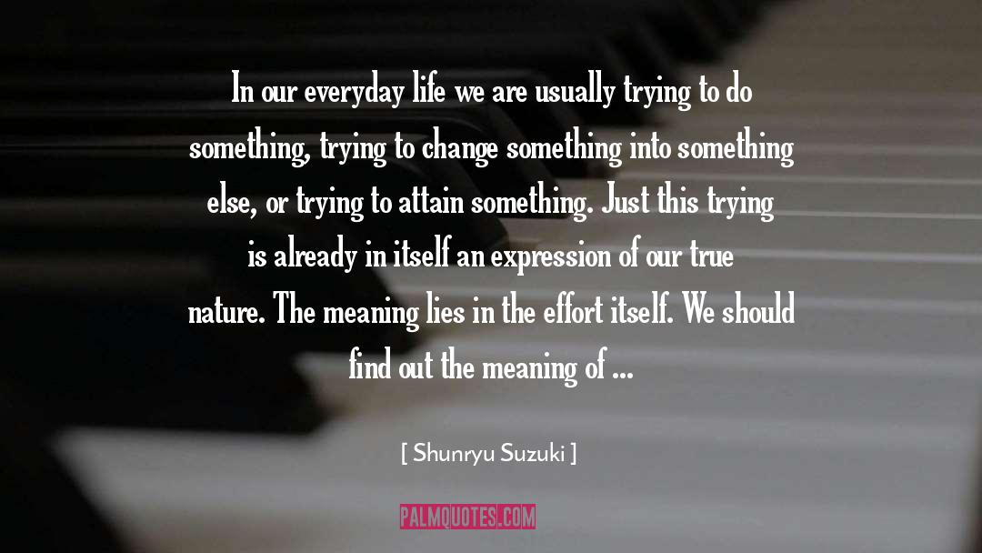 Everyday Effort quotes by Shunryu Suzuki