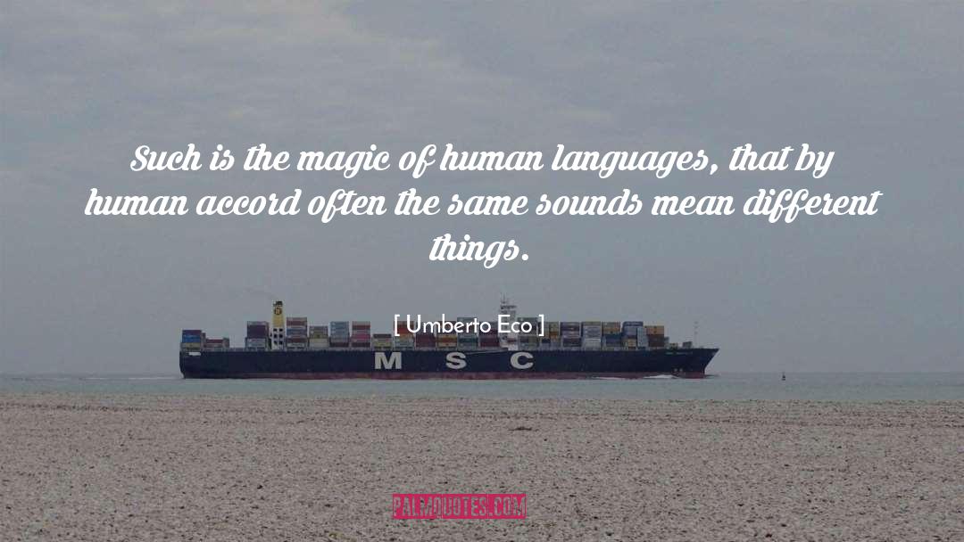 Everyday Magic quotes by Umberto Eco