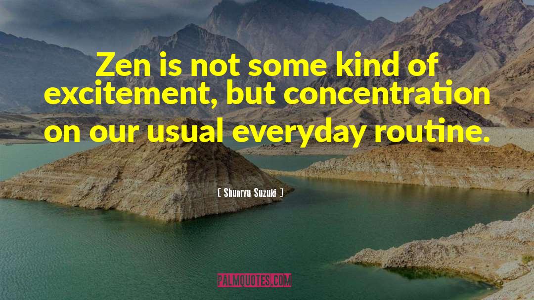 Everyday Routine quotes by Shunryu Suzuki