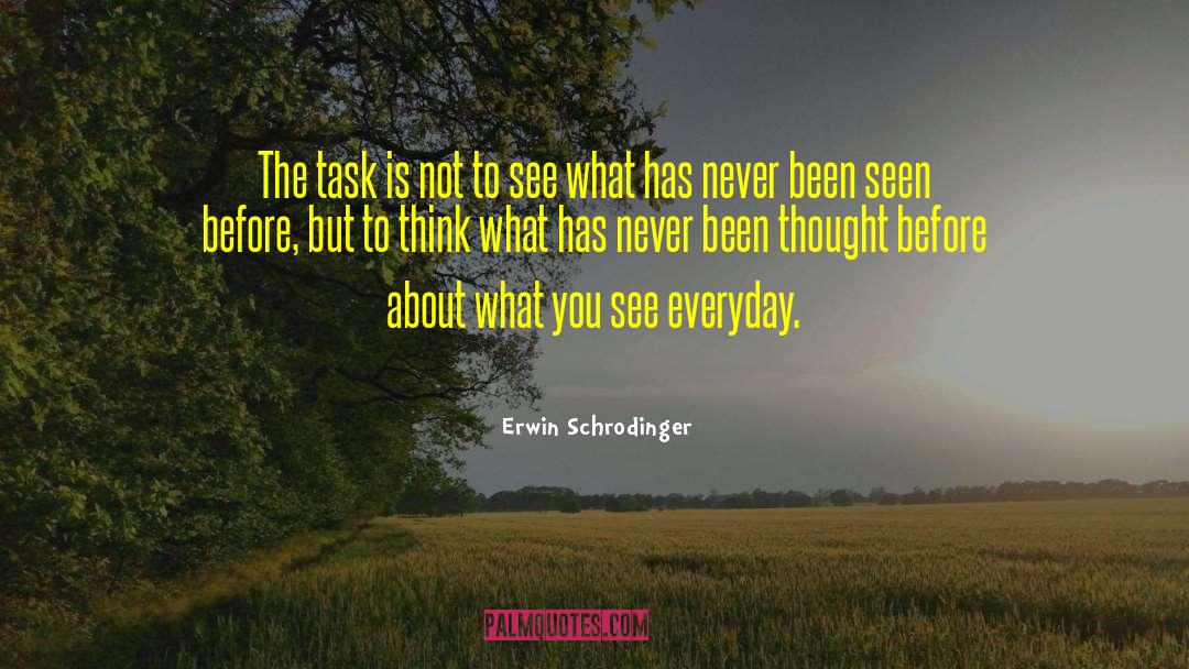 Everyday Tasks quotes by Erwin Schrodinger