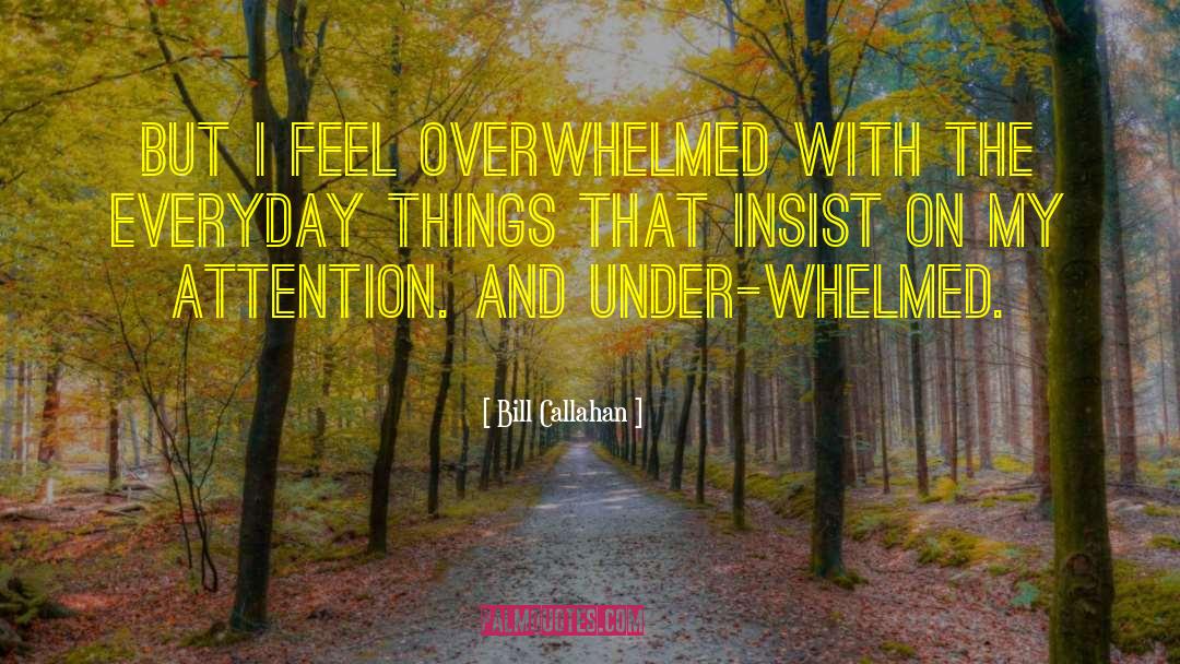 Everyday Things quotes by Bill Callahan