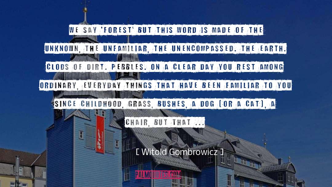 Everyday Things quotes by Witold Gombrowicz
